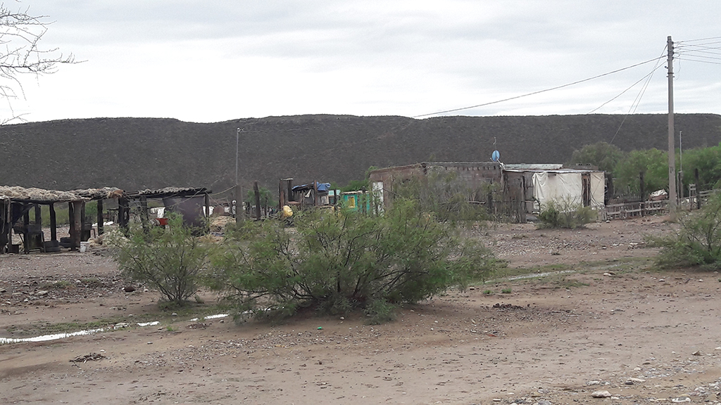 Socialización del INNOVA AF en la Región Candelillera en México