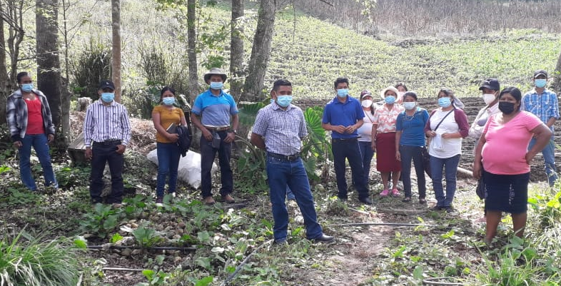 La gestión del conocimiento es una realidad en las familias campesinas e indígenas lencas acompañadas por Red COMAL