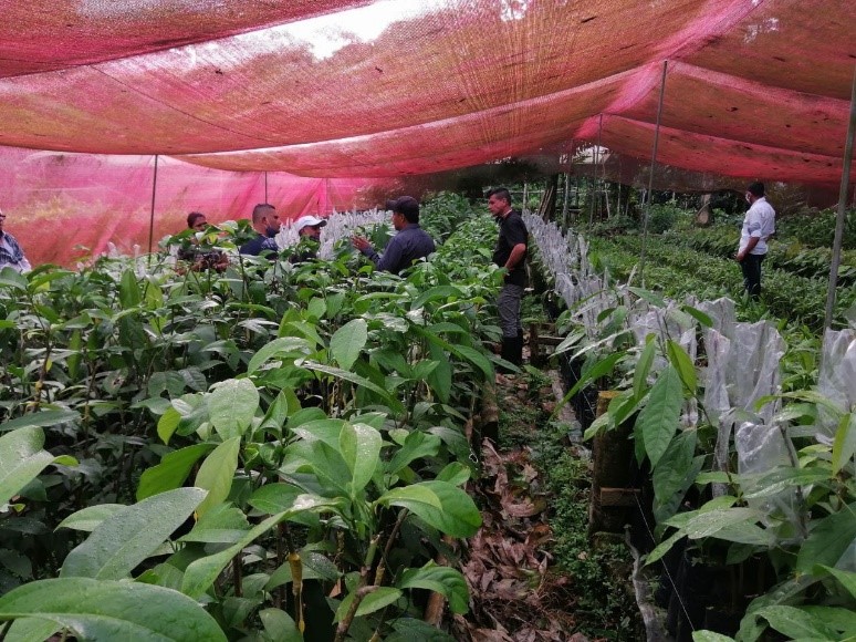 INNOVA AF apoya intercambios entre productores para mejorar la calidad de vida de familias rurales en Colombia