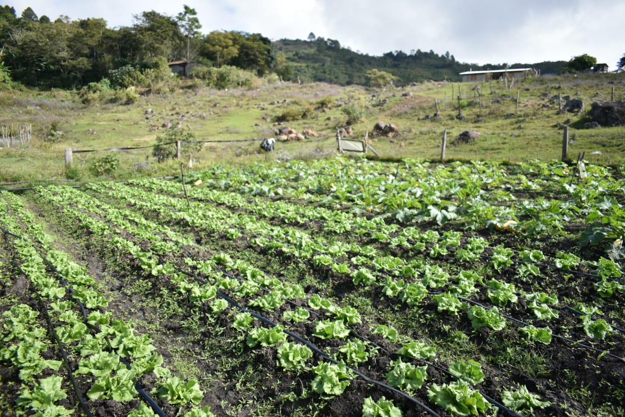 Incentivando a productoras y productores para la implementación de mejores prácticas agrícolas en comunidades indígenas de La Paz, Honduras