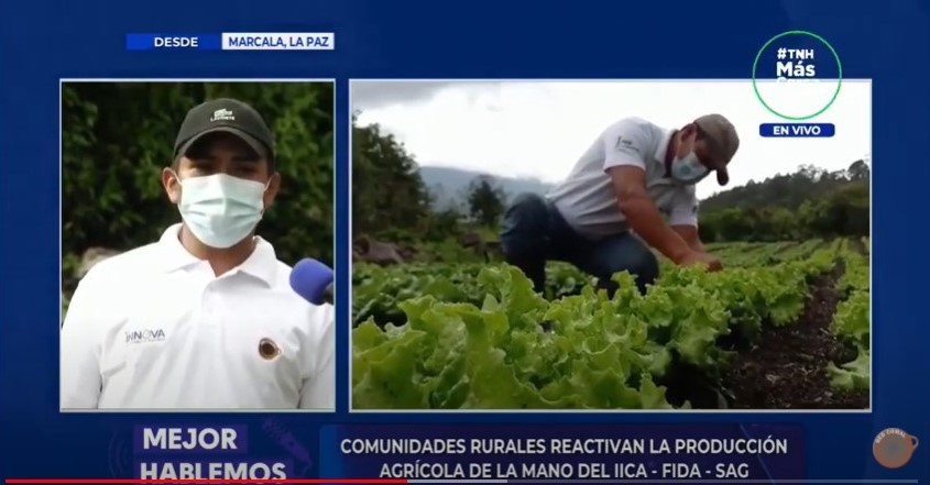 Se difunde experiencia impulsada por Red COMAL, IICA y FIDA. La Paz, Honduras