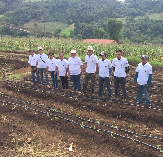 Avanza la Escuela de Campo en la Comunidad Las Aradas, Honduras