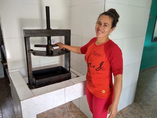Na Borborema paraibana, muito empenho no resgate do cultivo da mandioca pelas famílias agricultoras // En la Borborema Paraibana, mucho empeño en el rescate del cultivo de yuca por familias agricultoras.