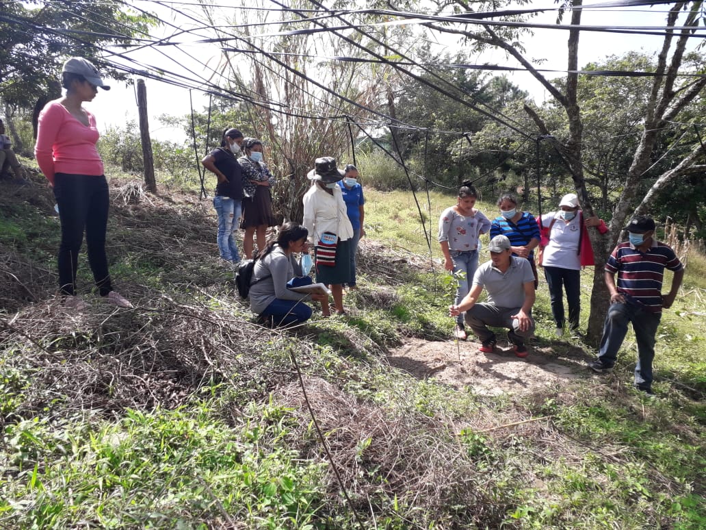 Mais de 2.000 agricultores familiares de oito países fortalecem sua capacidade de adaptação à mudança do clima com apoio do FIDA e do IICA