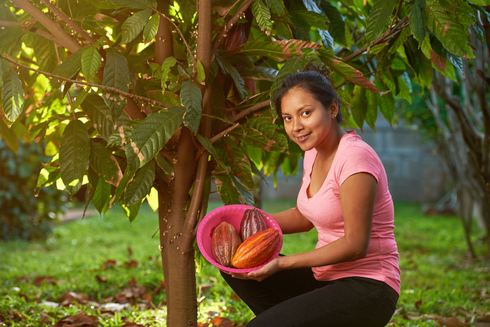 Los países de América Latina y el Caribe identificaron progresos y retos en camino hacia transformación de sus sistemas agroalimentarios